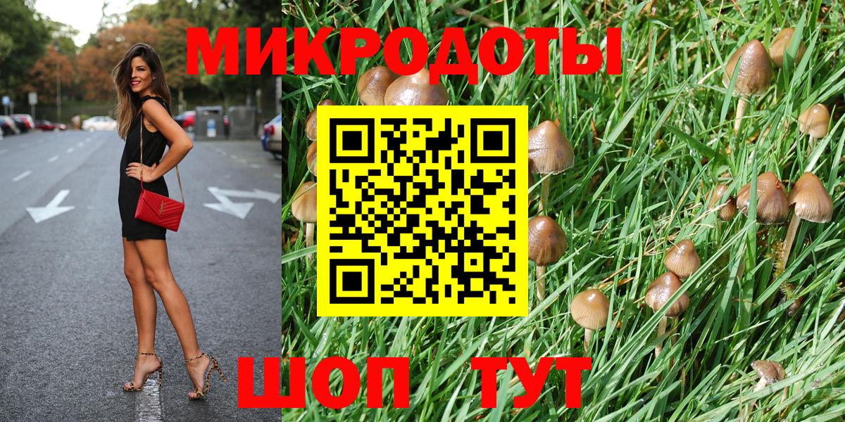 Псилоцибиновые грибы мицелий  Псилоцибиновые грибы Cubensis  Вход с VPN  Алатырь 