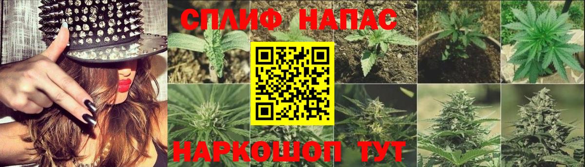 Бошки марихуана ГИДРОПОН  Каннабис Amnesia  Алатырь  Вход с VPN 