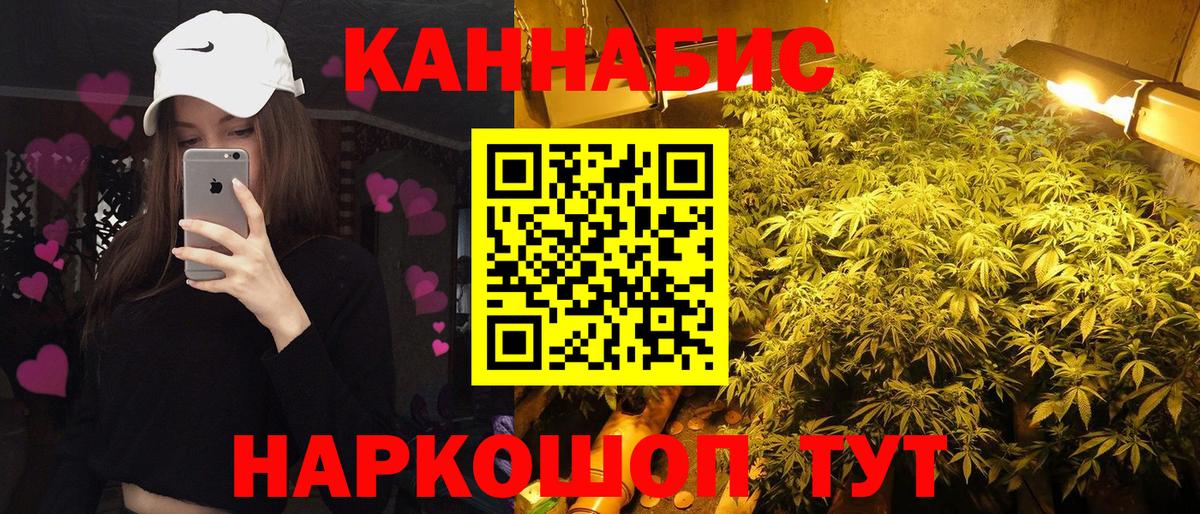 Канабис сатива Алатырь